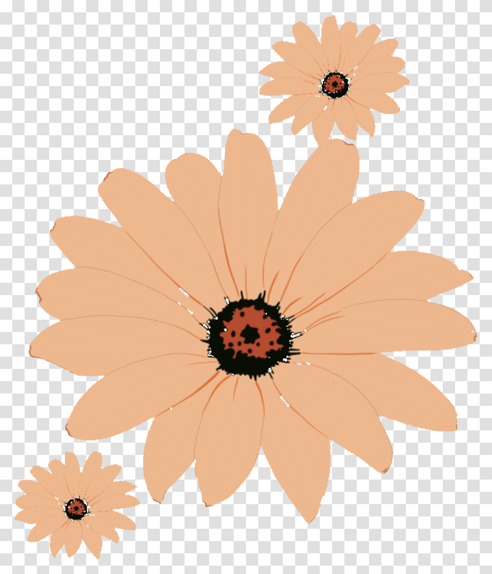 Tag For Dancing Joindiaspora Animated Flowers Girly, Plant, Daisy, Daisies, Blossom Transparent Png