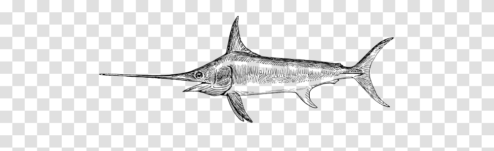 Tag For Medium Fish Drawing Clipart Cretaceous Fish, Animal, Sea Life, Swordfish, Shark Transparent Png