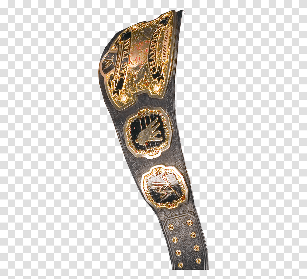 Tag Team Championship World Tag Team Titles, Wristwatch, Emblem, Gold Transparent Png