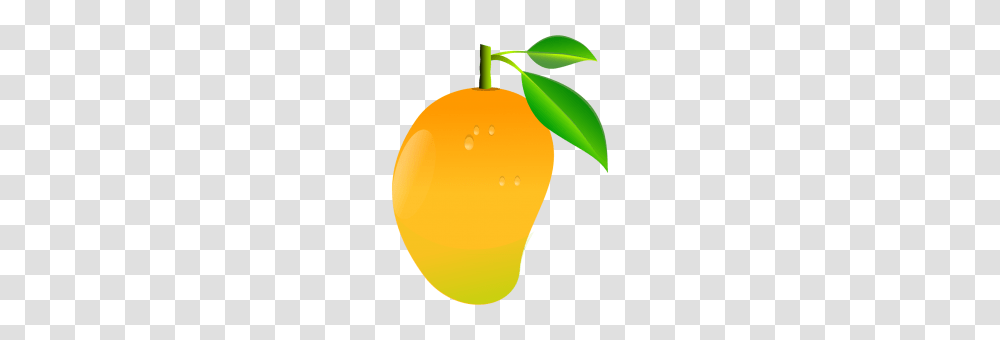 Tags, Plant, Fruit, Food, Citrus Fruit Transparent Png