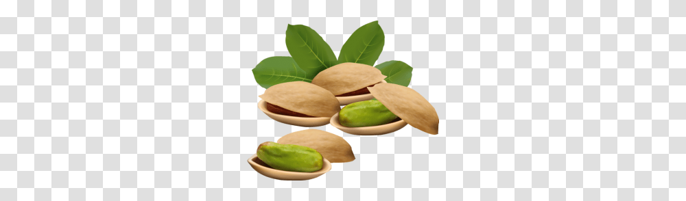 Tags, Plant, Vegetable, Food, Nut Transparent Png