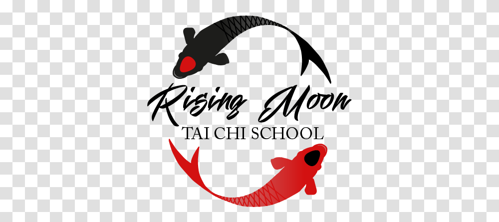 Tai Chi Basics - Rising Moon Free Line Taichi Icon, Animal, Reptile, Crocodile, Alligator Transparent Png