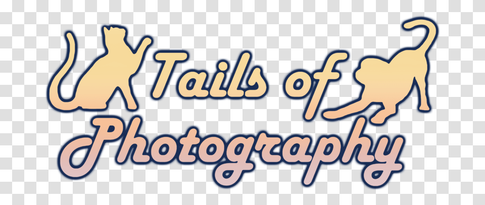 Tails Of Photography, Text, Alphabet, Word, Poster Transparent Png