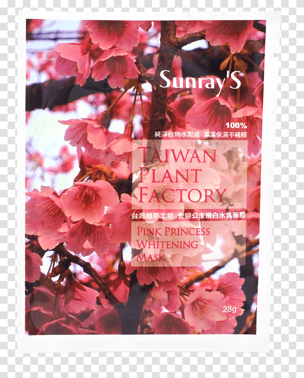 Taiwan Plant Factory Pink Princess Whitening Mask Cherry Blossom, Flower, Advertisement, Poster, Paper Transparent Png