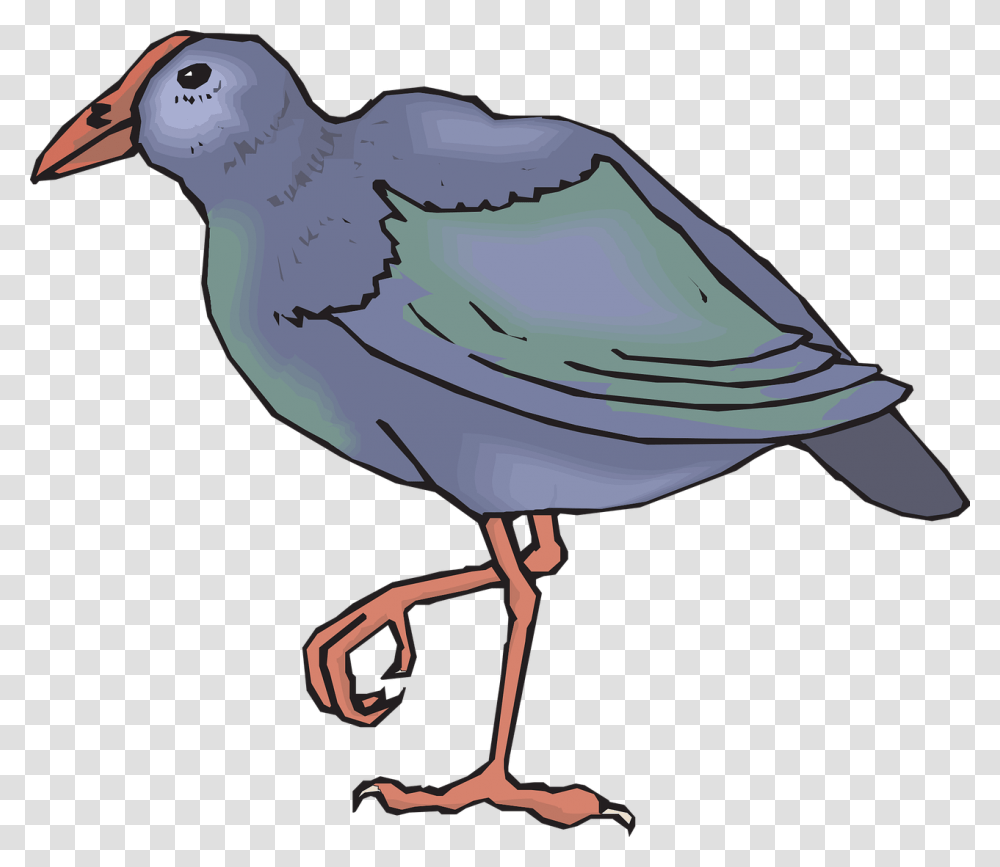 Takahe Clipart, Bird, Animal, Finch, Beak Transparent Png