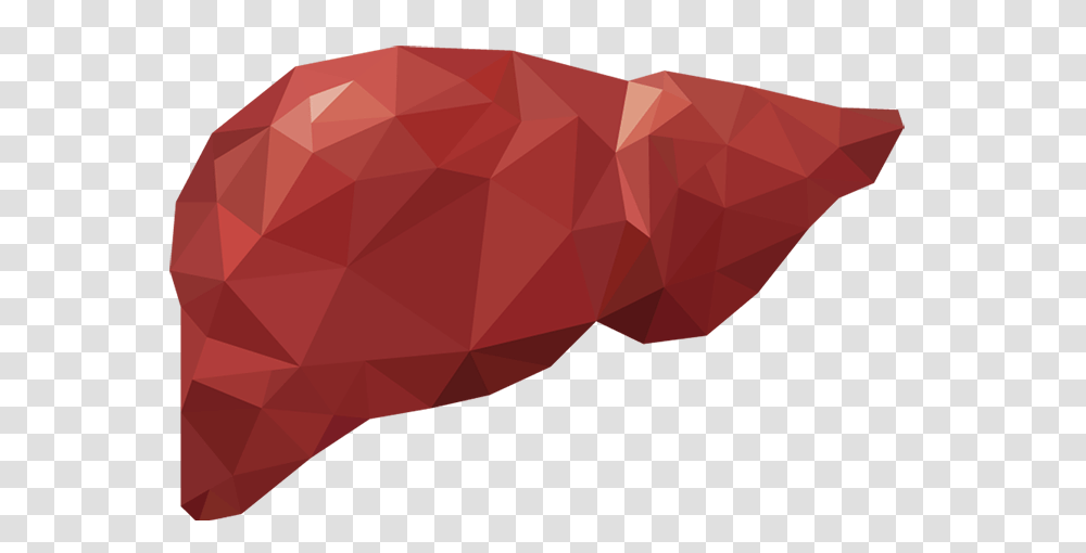 Take Care Of Your Liver, Rug, Maroon, Label Transparent Png
