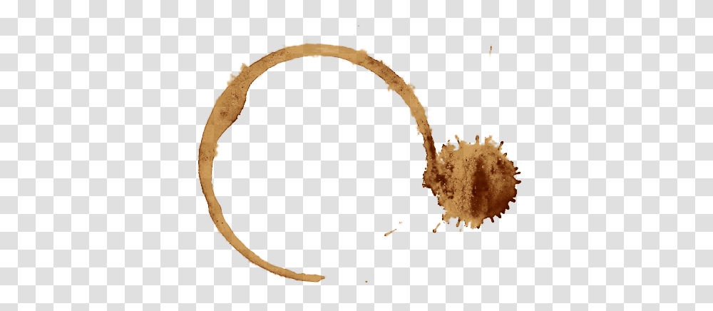 Take Me To Neverland Coffee Stain No Background, Bonfire, Flame Transparent Png