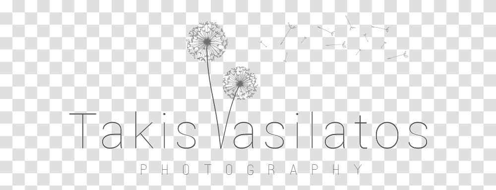 Takis Vasilattos Photography Dandelion, Plant, Flower, Blossom Transparent Png