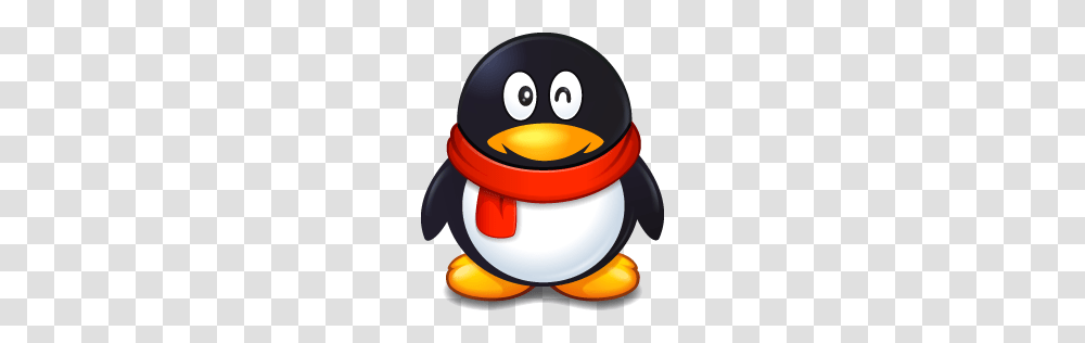 Talking With My Students On Qq Kimfucius Says, Outdoors, Penguin, Bird, Animal Transparent Png