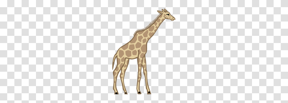 Tall Clip Art, Giraffe, Wildlife, Mammal, Animal Transparent Png