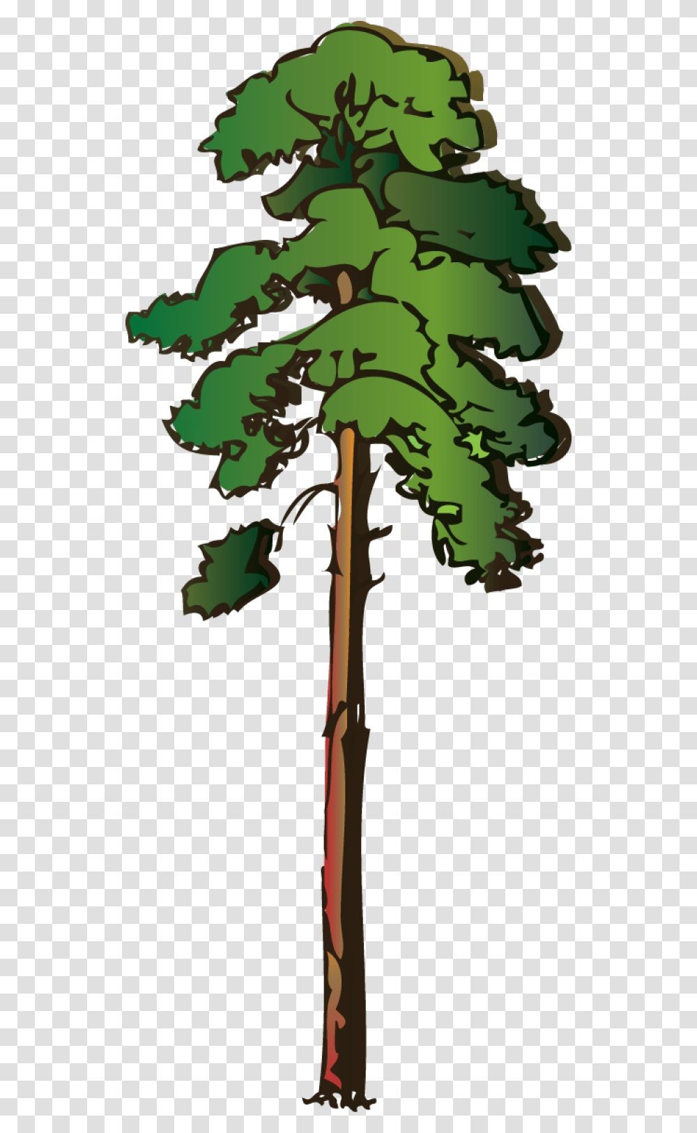 Tall Clipart Gallery Images, Plant, Tree, Leaf, Military Uniform Transparent Png