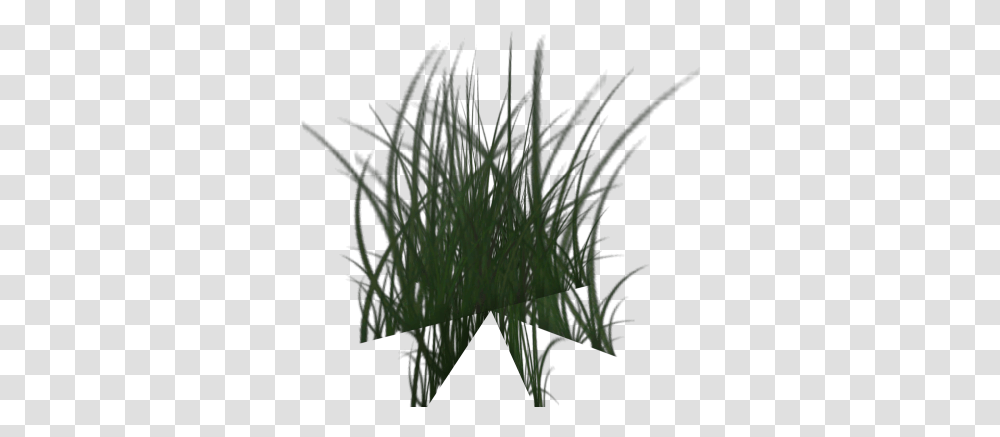 Tall Grass 4 Roblox Sweet Grass, Plant, Crystal, Lawn, Vase Transparent Png