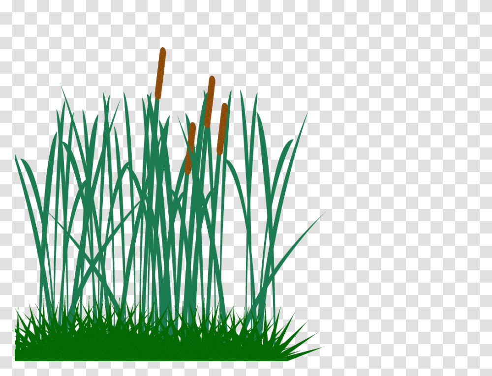 Tall Grass Clip Art, Plant, Lawn, Reed, Agropyron Transparent Png