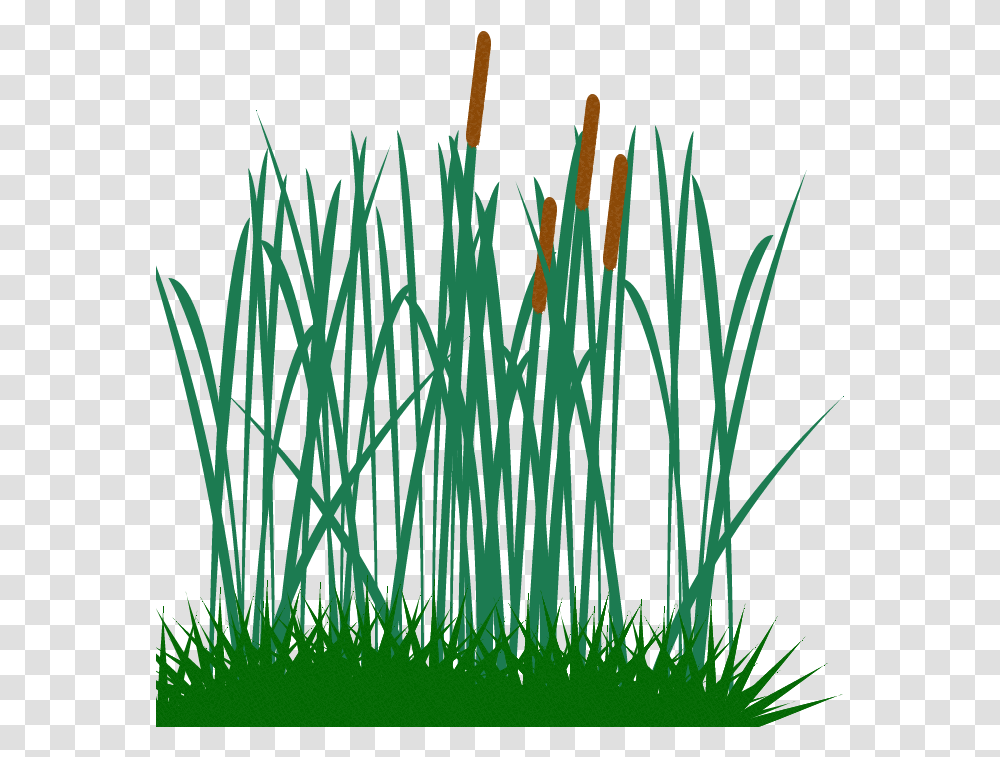 Tall Grass Clip Tall Grass Clip Art, Plant, Lawn, Reed, Vegetation Transparent Png