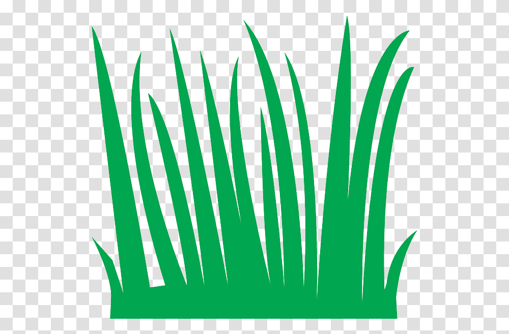 Tall Grass Clipart, Logo, Trademark, Plant Transparent Png