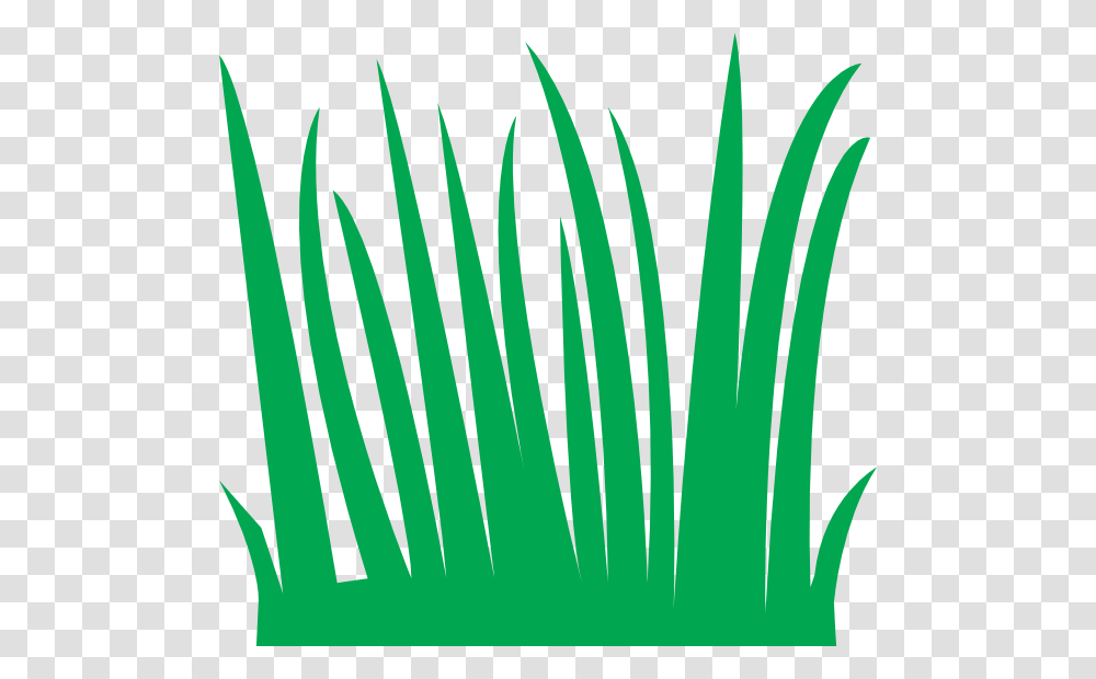 Tall Grass, Logo, Trademark, Plant Transparent Png