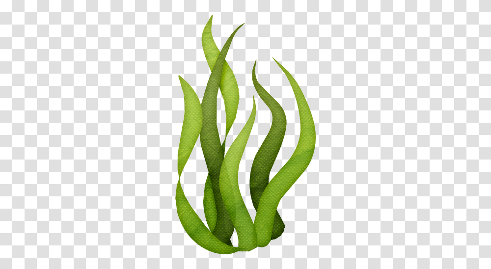 Tall Grass Silhouette Clip Art Gifs Y Fondos Pazenlatormenta, Plant, Vegetable, Food, Produce Transparent Png