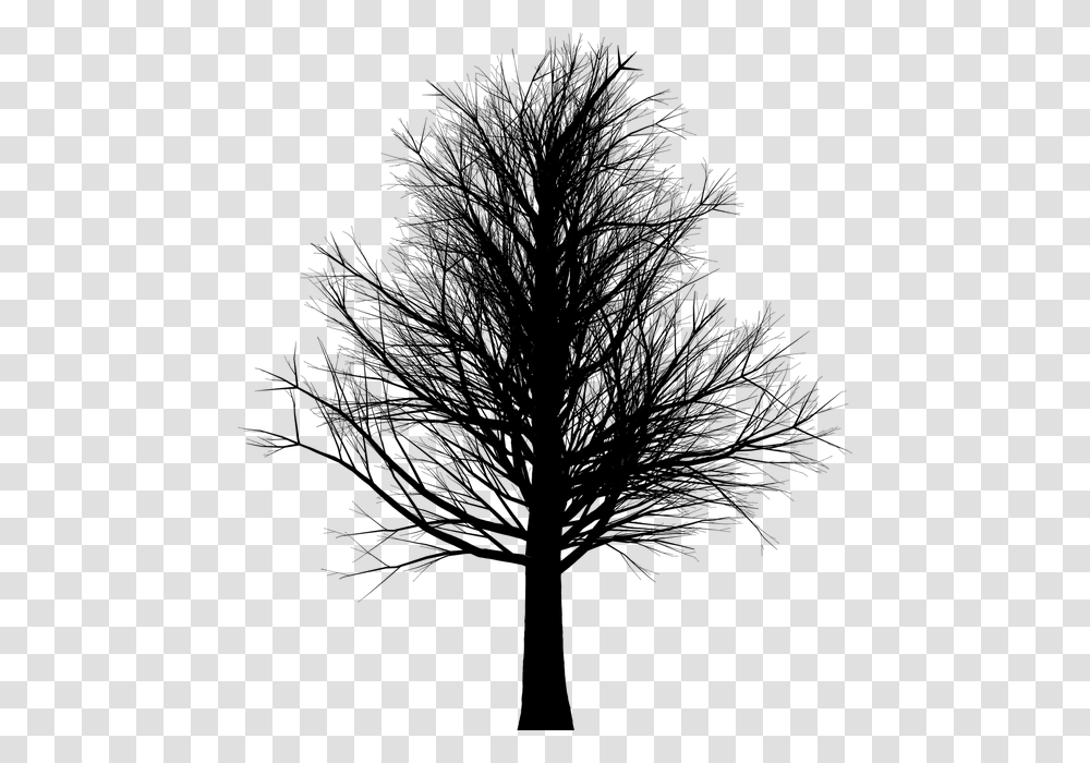 Tall Leafless Black Tree, Gray, World Of Warcraft Transparent Png