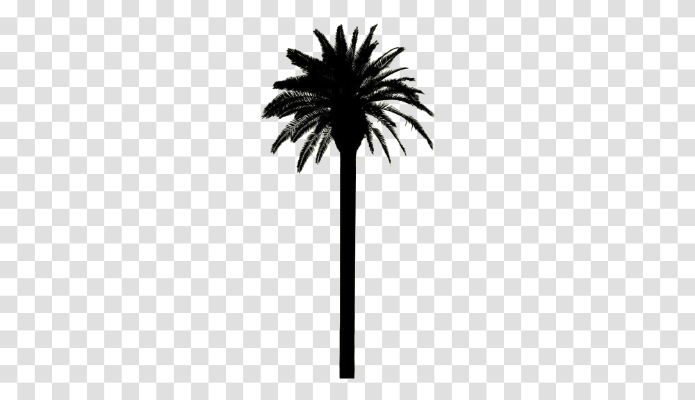 Tall Palm Tree Date Palm, Plant, Nature, Outdoors, Arrow Transparent Png