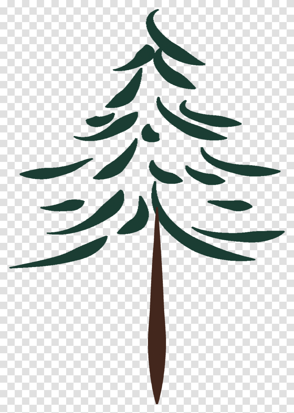 Tall Pine Tree Pine, Plant, Ornament, Christmas Tree, Fir Transparent Png