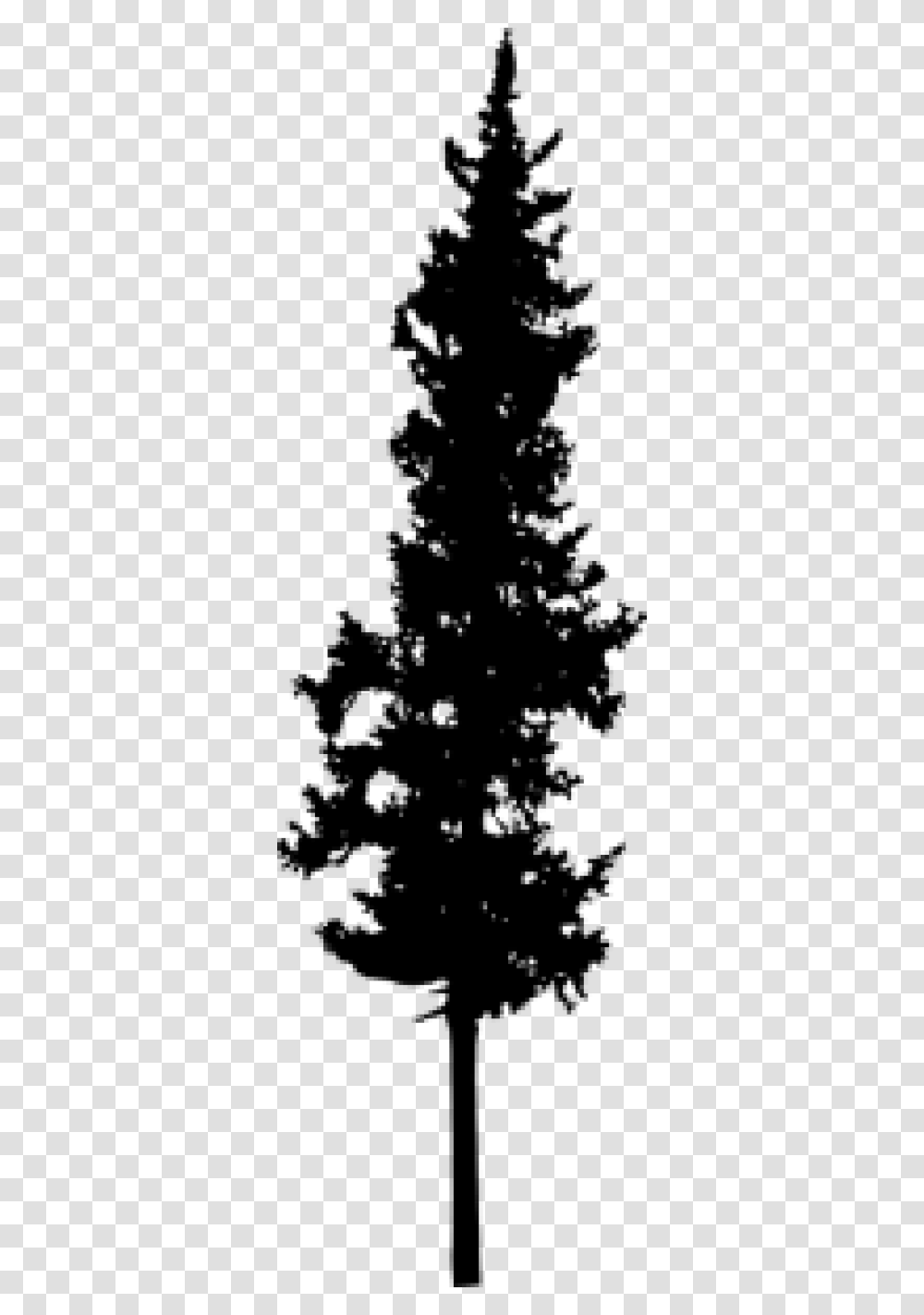 Tall Pine Tree Silhouette, Gray, World Of Warcraft Transparent Png