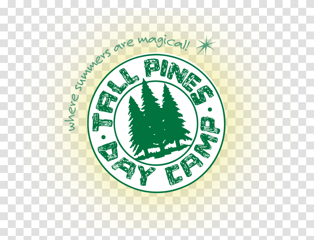 Tall Pine Tree Tall Pines Day Camp, Frisbee, Toy, Plant Transparent Png