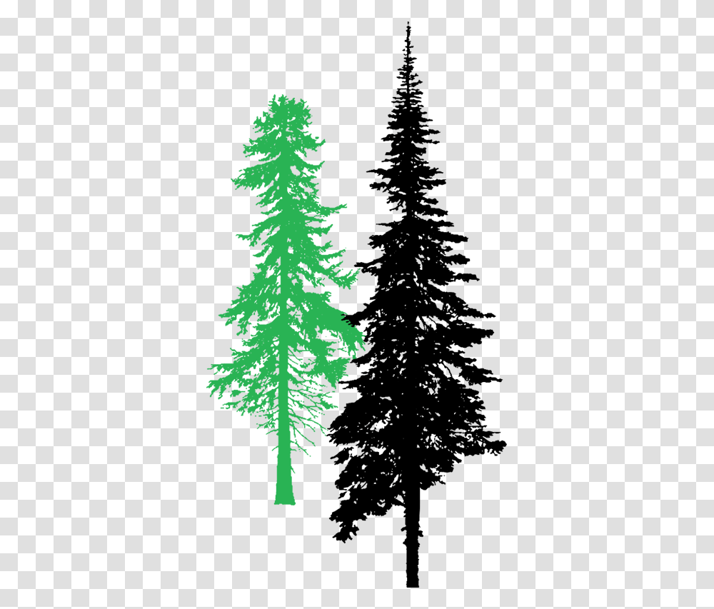 Tall Pine Tree, Green, Plant, Number Transparent Png