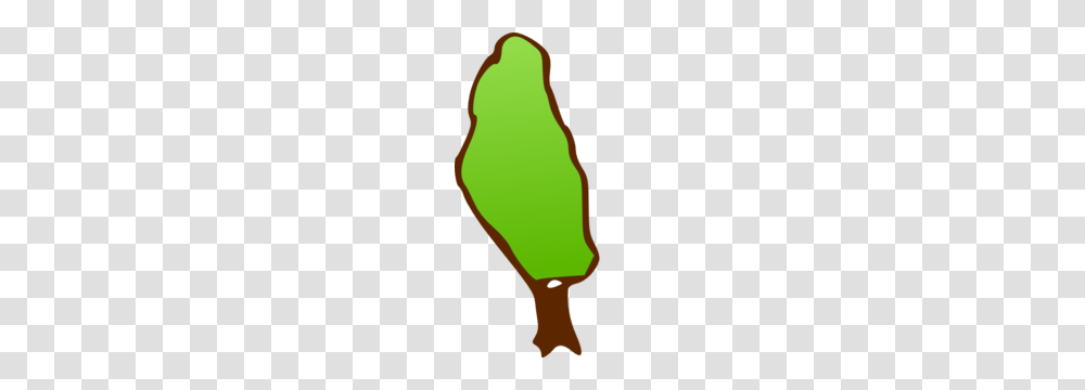 Tall Skinny Tree Clip Art, Apparel, Person, Green Transparent Png