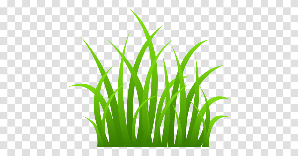 Tall Strands Of Grass Classroom Grasses Clip Art, Plant, Lawn, Agropyron Transparent Png