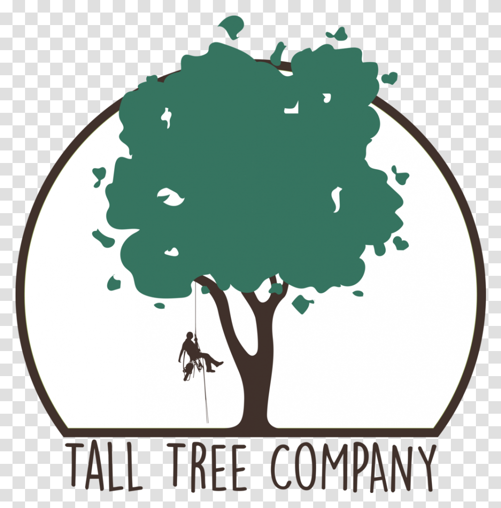 Tall Tree Co, Plant, Birthday Cake, Vegetation, Person Transparent Png