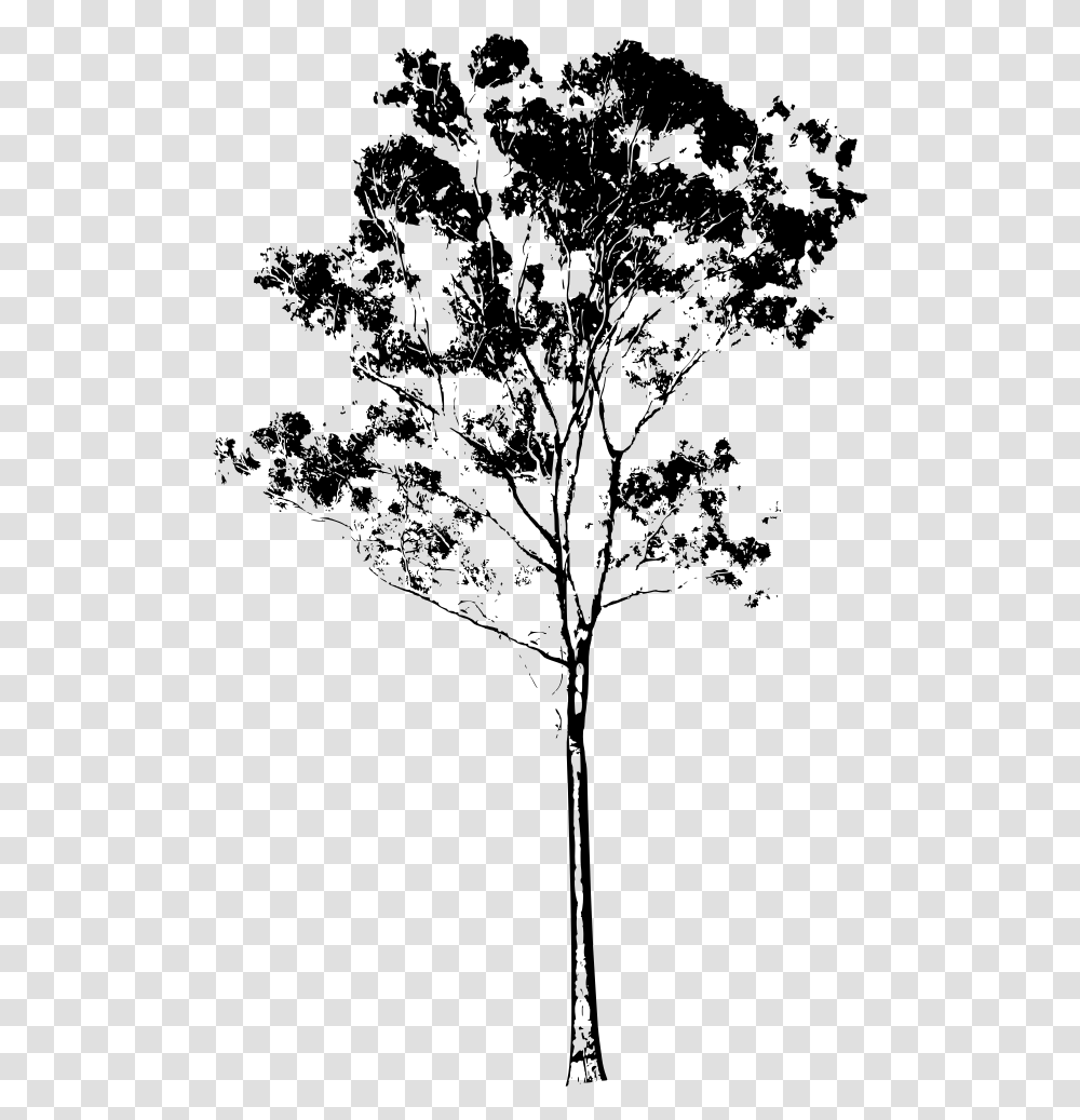 Tall Tree Eucalyptus Tree Silhouette, Gray, World Of Warcraft Transparent Png