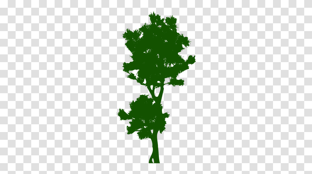 Tall Tree Image, Green, Leaf, Plant, Vegetation Transparent Png