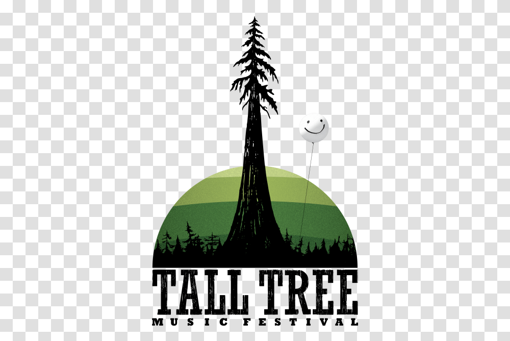 Tall Tree Music Festival - Pine Tree, Soccer Ball, Football, Team Sport, Sports Transparent Png