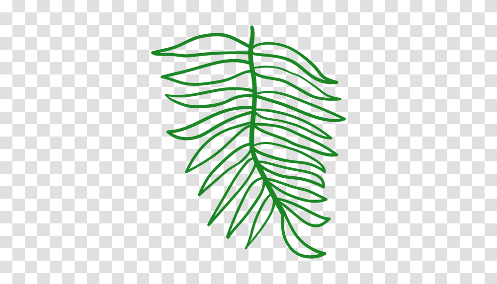 Tall Tree Silhouette Free Svg Green Tree Silhouette, Plant, Conifer, Leaf, Pine Transparent Png
