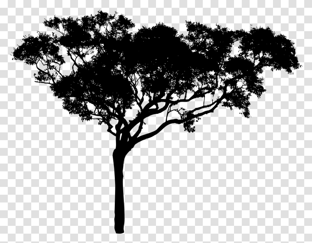 Tall Tree Silhouette Free Tree Vector, Gray, World Of Warcraft Transparent Png