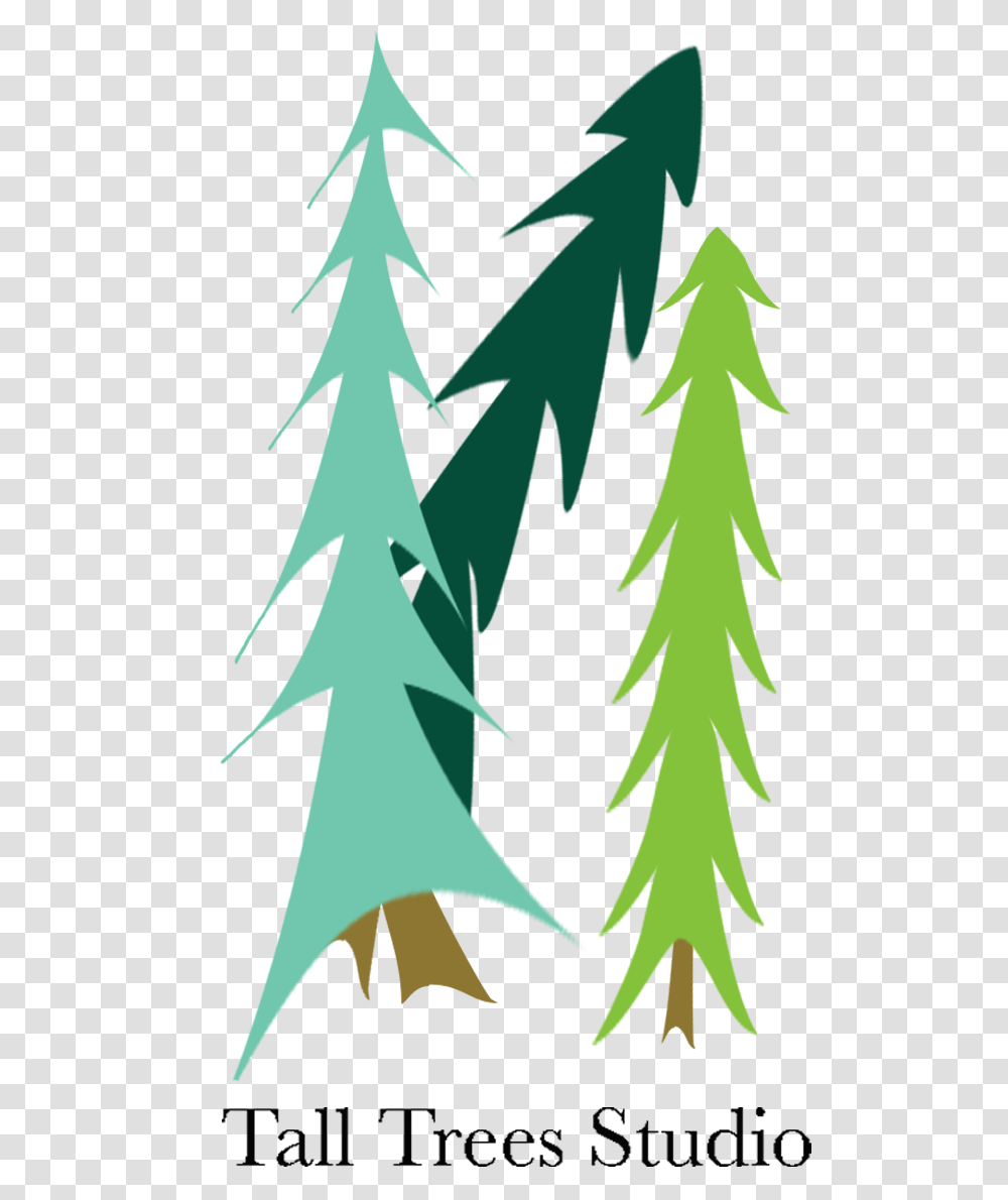 Tall Trees Studio Christmas Tree, Plant, Pattern, Ornament, Poster Transparent Png
