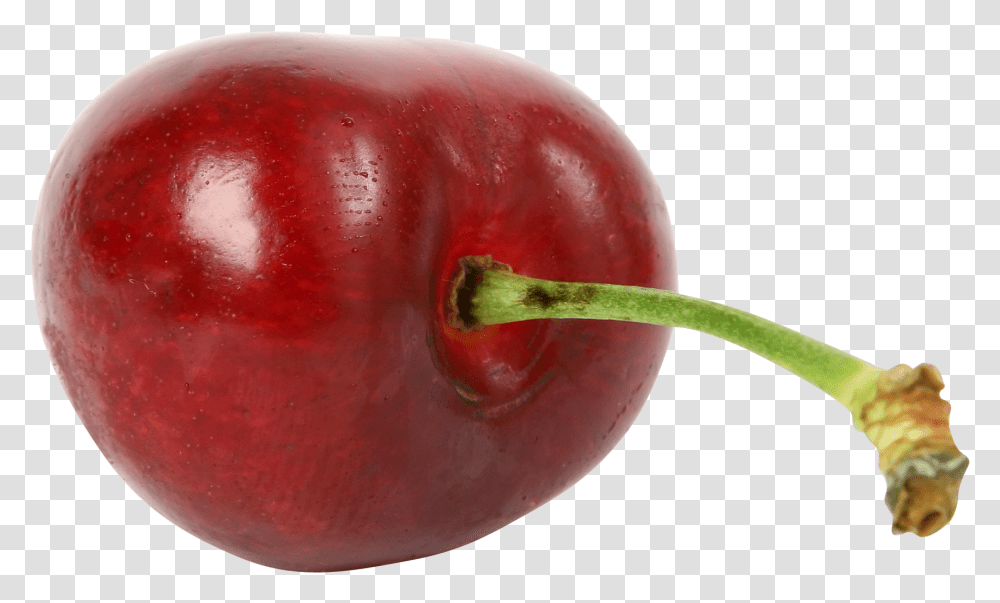Tallo De Una Fruta, Apple, Fruit, Plant, Food Transparent Png