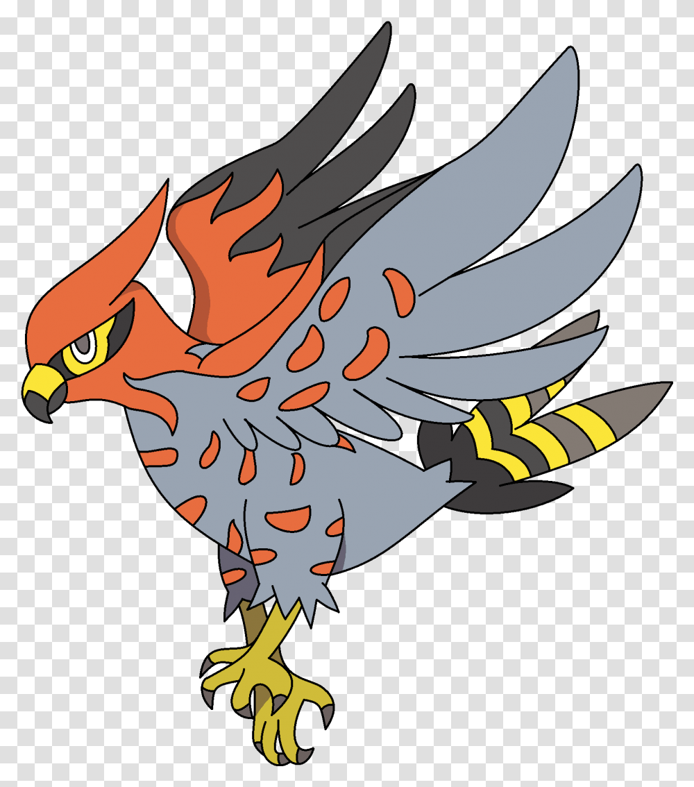 Talonflame Eagle, Bird, Animal, Parrot, Flying Transparent Png