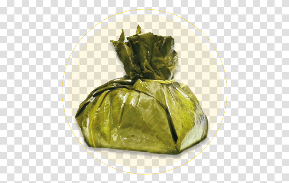 Tamale, Plastic Bag, Insect, Animal, Pineapple Transparent Png