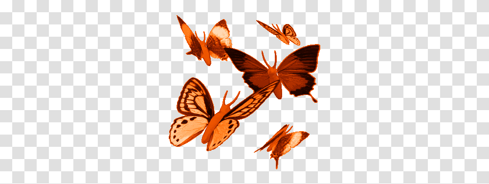 Tammy Lee Butterfly Gif Images Image Glitter Animated Butterflies, Insect, Invertebrate, Animal, Moth Transparent Png