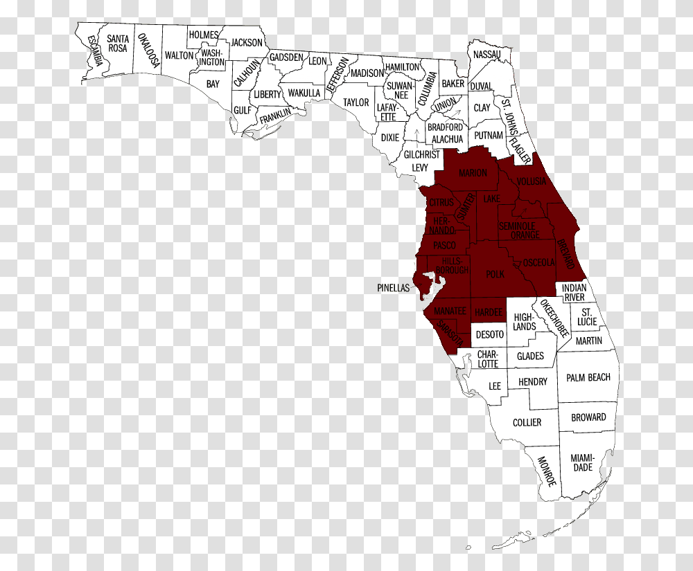 Tampa Bay Area Service Area Latitude Map Of Florida, Diagram, Atlas, Plot, Person Transparent Png