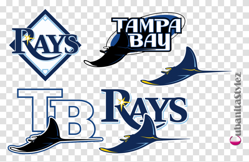 Tampa Bay Rays, Label, Sticker Transparent Png