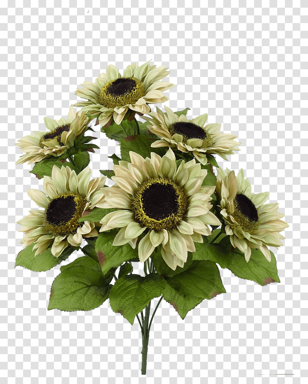 Tan Bouquet, Plant, Flower, Blossom, Sunflower Transparent Png