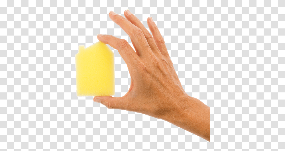 Tan, Person, Human, Hand, Sponge Transparent Png