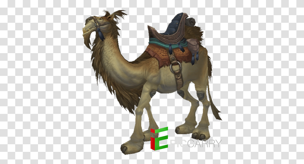 Tan Riding Camel Reins Of The Brown Riding, Horse, Mammal, Animal, Reptile Transparent Png