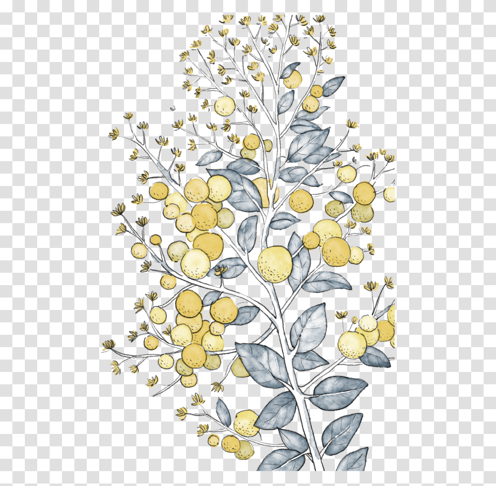 Tanacetum Balsamita, Floral Design, Pattern Transparent Png