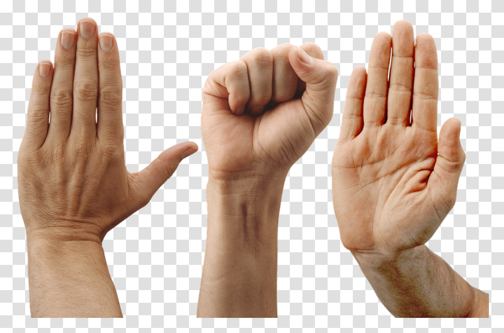 Tangan Mengepal, Hand, Person, Human, Finger Transparent Png
