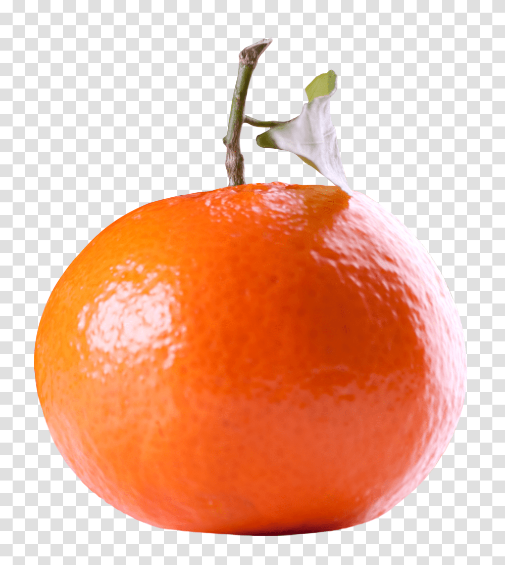 Tangerine Citrus Fruit Image, Orange, Plant, Food, Grapefruit Transparent Png