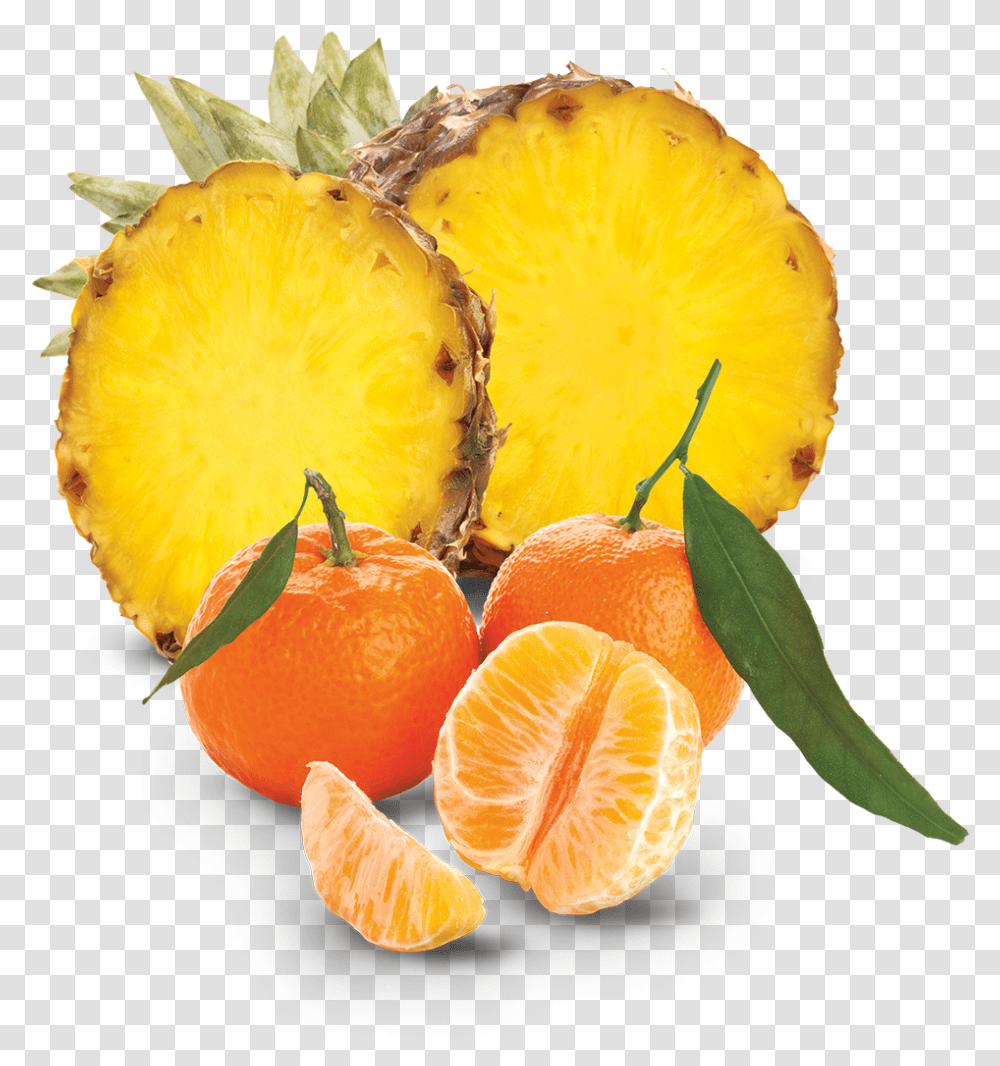 Tangerine Clementine, Plant, Citrus Fruit, Food, Orange Transparent Png