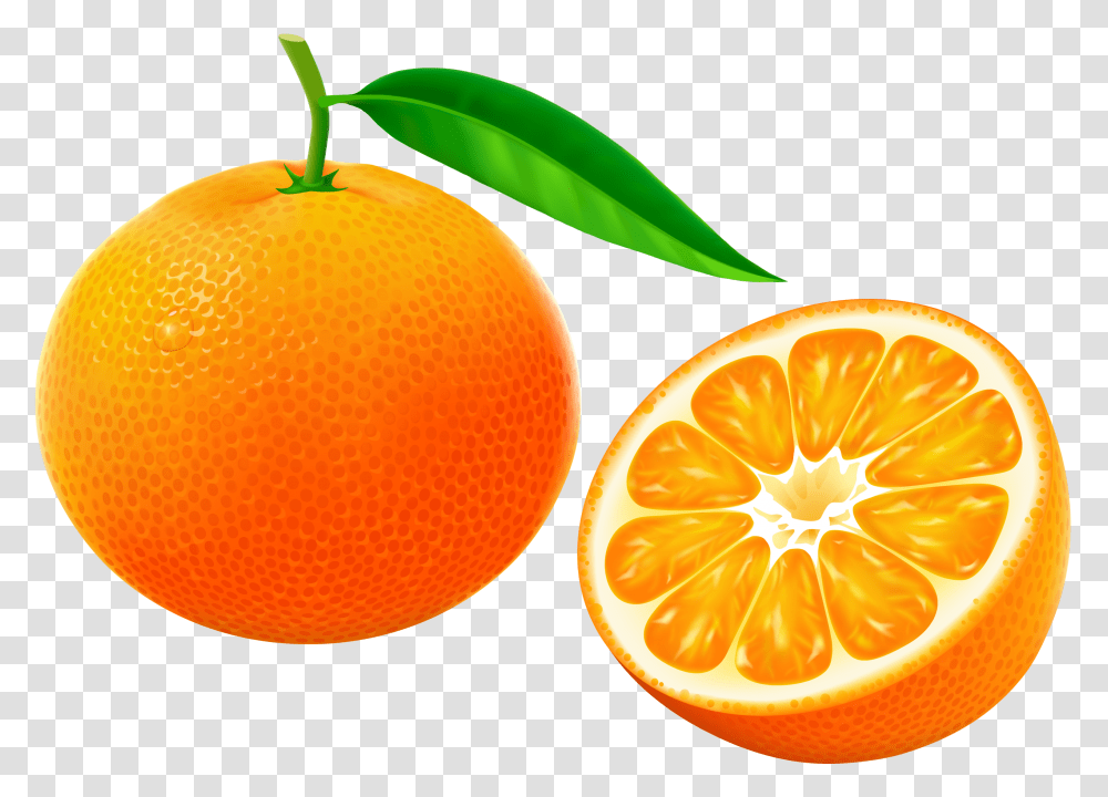 Tangerine Fruit With Half And Flower On White Background, Citrus Fruit, Plant, Food, Orange Transparent Png